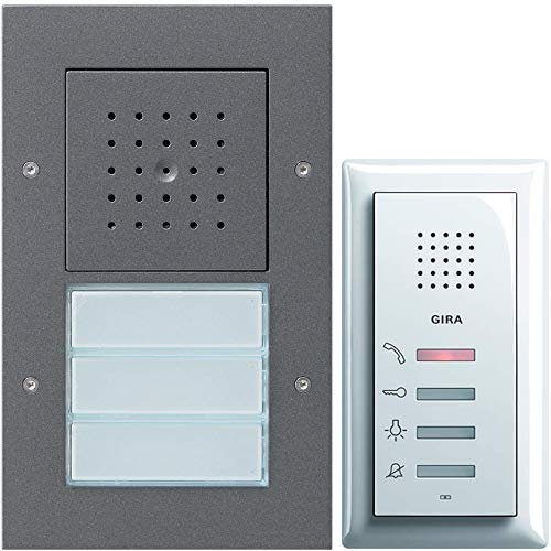 Gira 2-Draht-Bus Sprechanlage 2WE flache 19mm Aufputz Türstation anthrazit/Telefone reinweiß