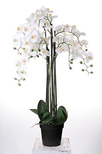 Wackadoo® XXL Orchidee 110 cm real Touch Blüten, Kunstblumen wie echt, Orchideen künstlich, künstliche Orchideen