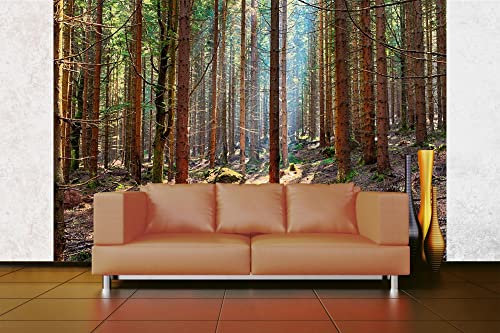 WTD Mantiburi Papier peint photo non tissé Motif forêt de sapins 375 x 250 cm (avec colle) – Papier peint non tissé – Papier peint mural – Prêt à être monté