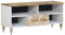 vidaXL Meuble TV 100x33,5x46 cm Bois Massif de manguier, Banc TV, Meuble HiFi, Centre de Divertissement, Buffet TV, Meuble multimédia, Console TV