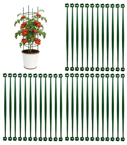 Traliccio per , 30 cm, espandibile, per rampicanti, bastoni, bastoni, pali | Gabbia per piante di per giardinaggio ortaggi cetrioli fagioli piselli peperoni fragola uva vite