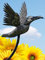 Pommerntraum ® | Edelstahl rostfrei Regenmesser Niederschlagsmesser Pluviometer Vogel hochwertige Gartendeko Gartenstecker (Silber)