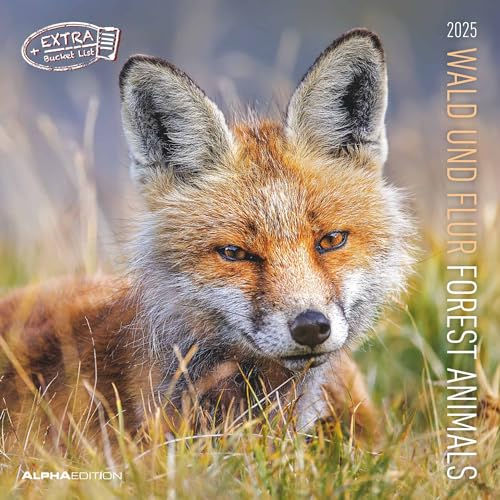 Alpha Edition - Wald & Flur 2025 Broschürenkalender, 30x30cm, Wandkalender mit Platz für Notizen und Termine, Motive von Tieren und Natur , Monatsübersicht und Ferientermine DE/AT/CH