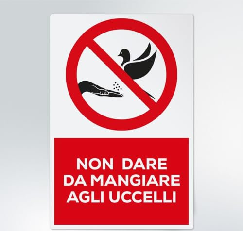 GLOBAL CARTELLO SEGNALETICO - Non dare da mangiare agli uccelli - Segnale Adesivo Extra Resistente, Pannello in Forex, Pannello In Alluminio (Adesivo, 20x31 cm)