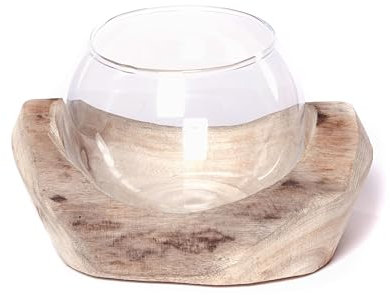 CREEDWOOD Wurzelholz Windlicht Nuria | 18x11x15 cm | mit Glaseinsatz | Holz Stamm, Deko Vase, Windlicht, Teelichthalter in Holz Schale, Tischdeko