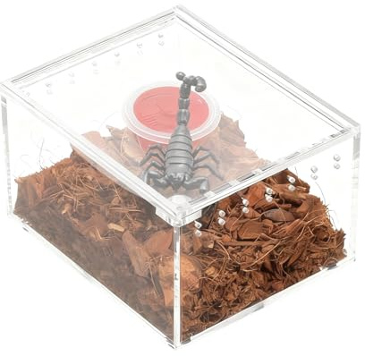 Spinnen Terrarium,Transparentes Aufzucht- Und Fütterungsbecken - Kleines Acryl-Terrarium,Für Echsen, Frösche, Geckos, Schnecken & Schildkröten zur Beobachtung, Zucht und Fütterung