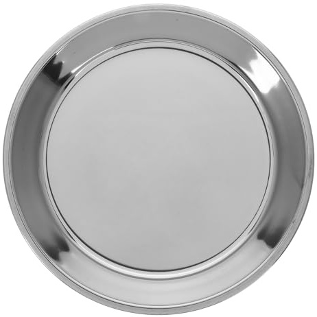TOYANDONA Stainless Steel Charcoal Grill Pan Bbq Ash Tray Portable Plate for Indoor and Outdoor Camping and Social Gatherings