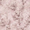 Papier peint rose poudré | Papier peint japonais pailleté 374204 | Papier peint fleurs | Papier peint chambre | Papier peint cerisier japonais