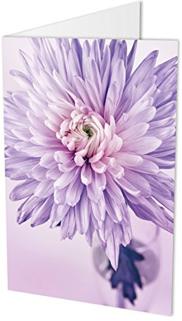 Maxi-Karte CHRYSANTHEME, Klappkarte DIN A4 mit Kuvert, Blumenkarte, Geburtstagskarte, Glückwunschkarte, Glückwünsche, Gratulation, Blume