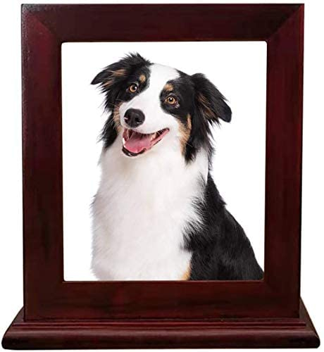 Pet Holz Memorial Urn für Asche, Bilderrahmen Aufbewahrungsschachtel für Hunde Katzen, Funerary Schatullen Supplies Burly Holz Urnen Pet Lovers,Wine red