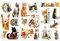 Peacoblue Rub on Transfer Decals for Furniture Crafts 6x12, 3Pcs Cute Cats Waterproof UV DTF Transfer Decals Sticker for Dresser Lingerie Chests Drawer Glass Porcelain Wood