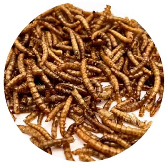 Warnick's Naturhäppchen Mehlwürmer getrocknet - 10 Liter | Naturfutter für Vögel, Reptilien, Nager & Fische - Als Schildkröten- & Igelfutter - Hoher Eiweißgehalt & naturbelassen