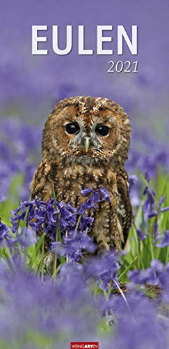 Eulen - Kalender 2021 - Weingarten-Verlag - Fotokalender im Vertikalformat - Wandkalender mit beeindruckenden Tierportraits - 29,8 cm x 67,8 cm