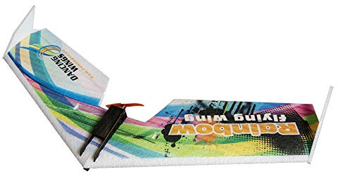 DW Hobby Avion télécommandé en mousse EPP Rainbow V2 pour débutants