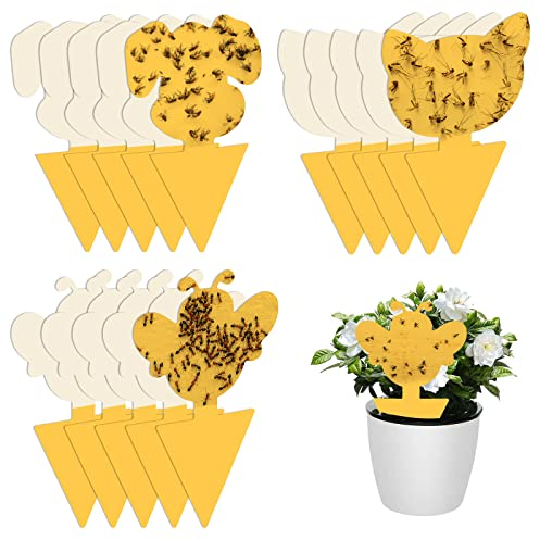 Rouclo 15 Pieces Anti Moucheron Plante,Attrape Mouche Interieur,Pièges à Insectes,Piege Moucherons Cuisine Sticky Bug Catchers pour Jardin Plante Fleur Fruits