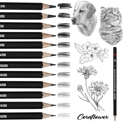 GOLDGE 24 Stück Bleistifte Set Skizzienstifte, Bleistift HB B F H 2H 2B 3B 4B 5B 6B 7B 8B Zeichenstifte Professionell Set für Skizzieren Zeichnen Färbung Geburtstag Mitgebsel Kinder Mädchen Junge