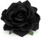 WLLHYF Schwarz Rosen Blumen Haarclip, Stoff Rose Haarblumen Clips Blume Haarnadel Kopfschmuck Blumenhüte Clip für Frau Mädchen Reise Hochzeit Abschlussball Valentinstag