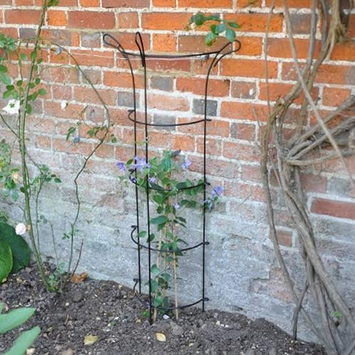 Crocus Collection 150cm Climbing Plant Support Wall Rods Ladder for Perennial Climbing Garden Beds and Borders