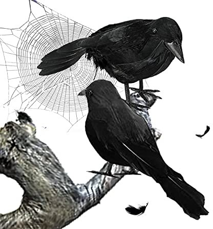 Yinxiang Jie 2 Stück Halloween Krähen Dekoration realistische schwarze Feder Krähen Halloween Party Dekorationen Requisiten