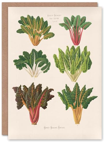Artery8 Ernst Benary Art Card Beet and Swiss Chard Vintage Botanical