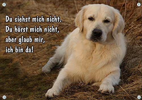 Hundeschild Golden Retriever - wetterfestes Metallschild in TOP Qualität, DIN A5