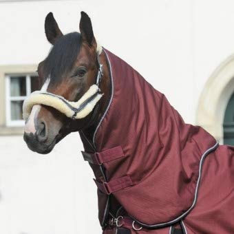 Halsteil für Decke ALASKA IV 100g