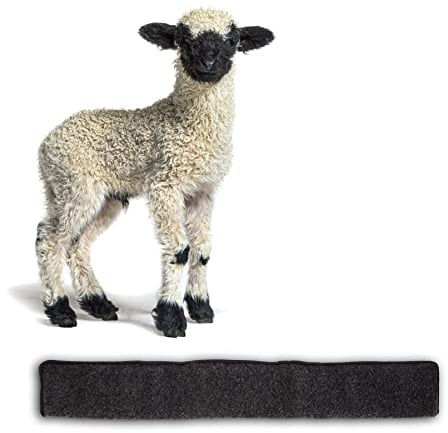 BigDean Zugluftstopper für Türen 100cm - 100% Schurwolle - Anthrazit - Türluftstopper Luftzugstopper Windstopper - Made in Germany
