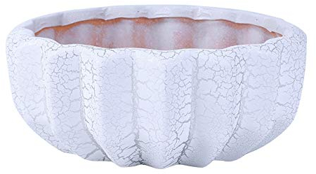 Maceta carnosa creativa Maceta de flor de grano de grieta de plata Maceta de cerámica redonda Maceta de carne Maceta de cerámica Maceta de interior al aire libre Contenedores de flores Decoración de