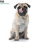 Mops 2025 Moderner Kalender