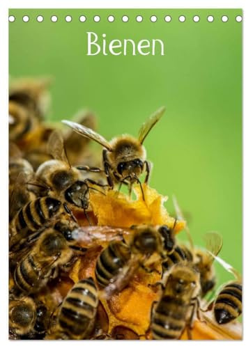 Bienen (Tischkalender 2026 DIN A5 hoch), CALVENDO Monatskalender: Bienen für das ganze Jahr (CALVENDO Tiere)