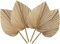 Hepzest 4 Hojas de Palma Secas Naturales DecoracióN de Hojas de Palma, DecoracióN, DecoracióN del Hogar, Bodas