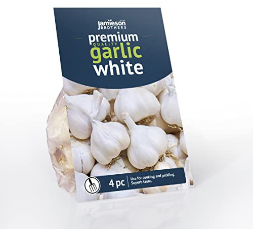 White Garlic 4 Bulbs for Planting - Bulb Size 40/60 - Grow Your Own Garlic – for Cooking, Salads, Garnish & Casseroles – Spring Planting - by Jamieson Brothers