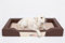 Bjird Hundebett - Hundekorb für kleine mittelgroße & große Hunde - Hundekissen - Hundesofa aus Kunstleder - Bezug abnehmbar und waschbar - Deluxe - Größe: L - Braun