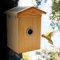Croci Vogelhaus WiFi mit Solarpanel, Akku und Kamera HD 1080p, Smart App mit Artenerkennung, Foto und Video, Bewegungsmelder für Vögel aus Holz
