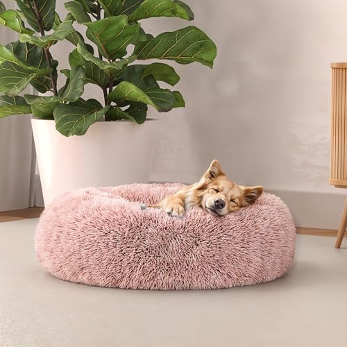 Italian Bed Linen Morbida Cuccia Dreams per Cani e Gatti, Rosa, 50x50cm