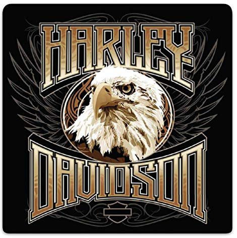 Harley-Davidson Eagle Stare Embossed Tin Sign, 14.5 x 14.5 inches 2011891