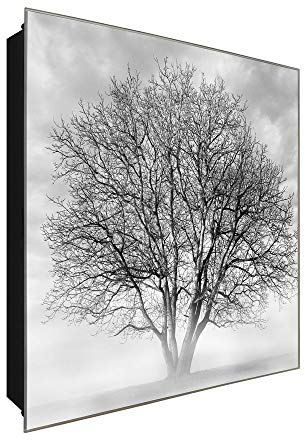 DekoGlas Schlüsselkasten 'Baum im Nebel' 30x30 Glas, inkl. Haken Schlüsselbrett Schlüssel-Box Design Aufbewahrung