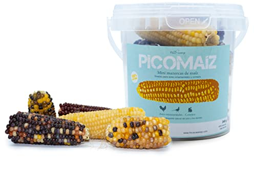 Mini Mazorcas de Maíz para gallinas y Conejos - PicoMaíz – Snack 100% Natural para roedores y Aves – 240 Gramos – Ayuda al Desgaste de Dientes y Pico