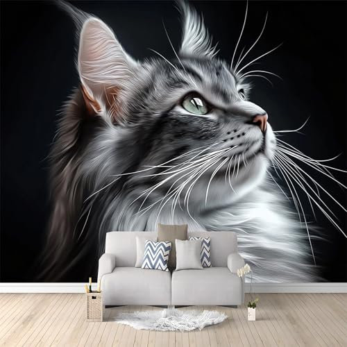 Papier Peint de Photo Chat Animal Gris 500x280 cm Papier Peint Murale intissé Panoramique, Papier Peint Personnalisé Pour Garçon Fille Ado Chambre Salon Décor