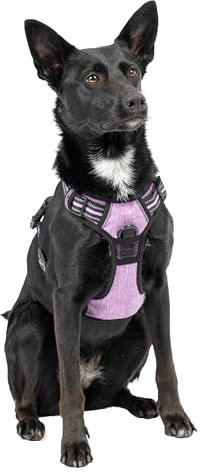 Ferplast Pettorina Cane Taglia Media, 2 Ganci per Massimo Controllo, Anti Tiro, Pettorina Cane Regolabile, Riflettente, Traspirante, Imbracatura Cani ideale per Addestramento M, Viola