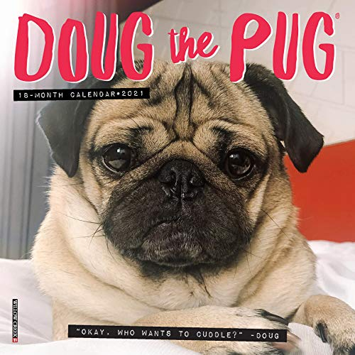 Doug the Pug 2021 Calendar