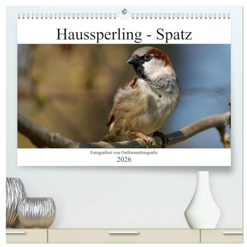 Haussperling - Spatz fotografiert von Ostfriesenfotografie (hochwertiger Premium Wandkalender 2026 DIN A2 quer), Kunstdruck in Hochglanz: Durch das Jahr mit dem Haussperling (CALVENDO Tiere)