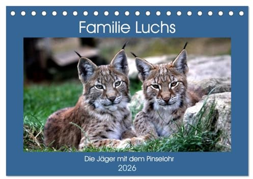 Familie Luchs - Die Jäger mit dem Pinselohr (Tischkalender 2026 DIN A5 quer), CALVENDO Monatskalender: Im Leben einer Luchsfamilie (CALVENDO Tiere)