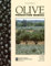 Olive Production Manual (Publication / University of California, Division of Agricult)