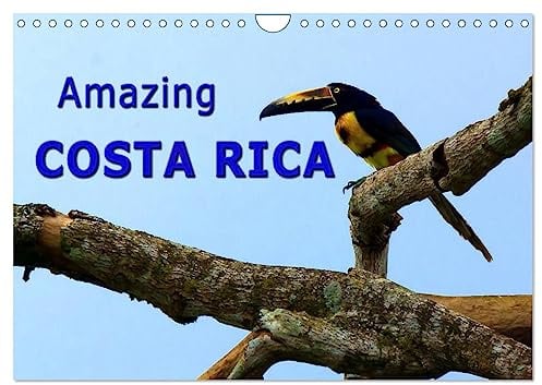 Amazing Costa Rica (Wall Calendar 2026 DIN A4 Landscape), CALVENDO 12 Month Wall Calendar: Amazing wildlife in Costa Rica, the destination for nature lovers (CALVENDO Nature)