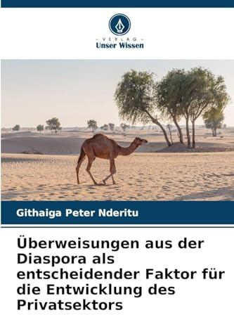Überweisungen aus der Diaspora als entscheidender Faktor für die Entwicklung des Privatsektors
