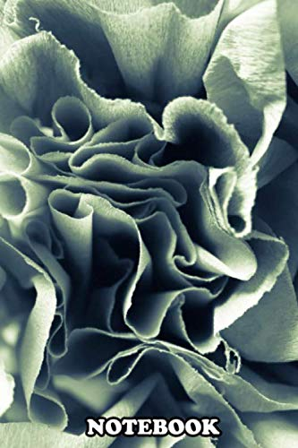 Notebook: Paper Rose , Journal for Writing, College Ruled Size 6 x 9, 110 Pages