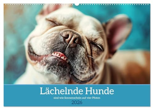 Lächelnde Hunde sind wie Sonnenschein auf vier Pfoten (Wandkalender 2026 DIN A2 quer), CALVENDO Monatskalender: Diesem Lächeln kann man nicht widerstehen! (CALVENDO Tiere)