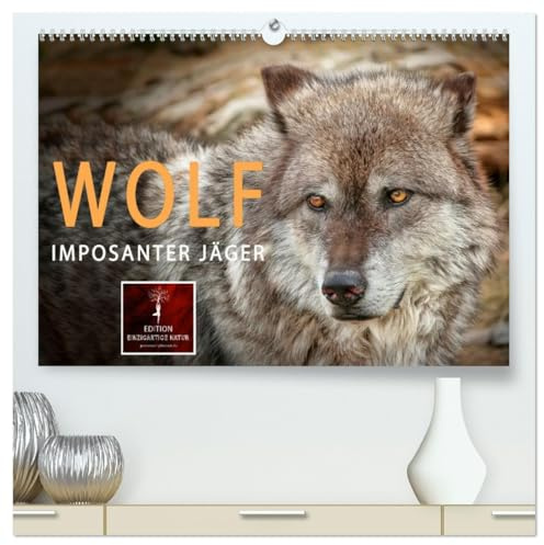 Wolf - Imposanter Jäger (hochwertiger Premium Wandkalender 2026 DIN A2 quer), Kunstdruck in Hochglanz: Es hat 150 Jahre gedauert, aber jetzt sind sie wieder da - Wölfe. (CALVENDO Tiere)