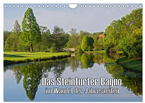 Das Steinfurter Bagno im Wandel der Jahreszeiten (Wandkalender 2026 DIN A4 quer), CALVENDO Monatskalender: Eine Auswahl von Bildern aus dem Steinfurter Bagno (CALVENDO Natur)